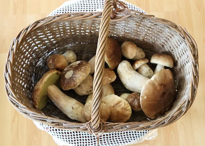 Appartement Apartmaji Nena Rocinj